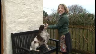 Dysgu Cymraeg Learning Welsh