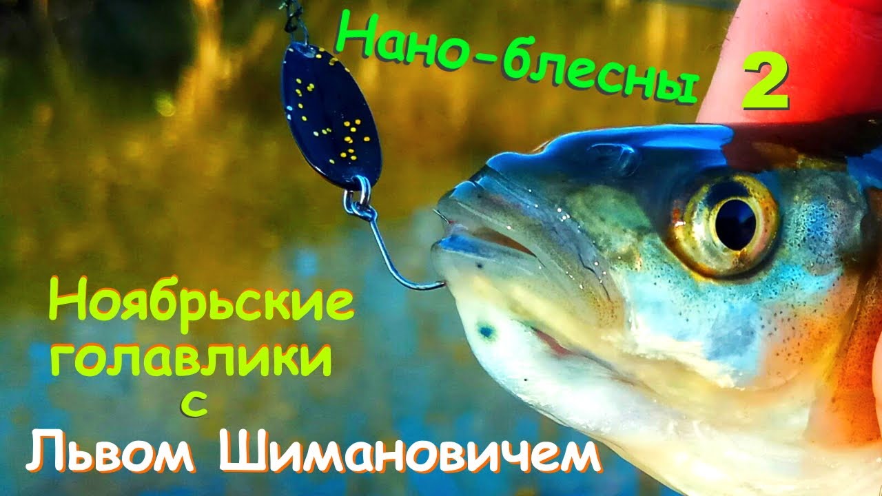Блесна с мотором