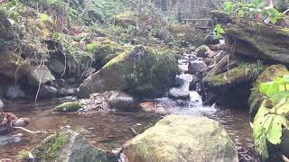 IMG 0116 IMG 0116