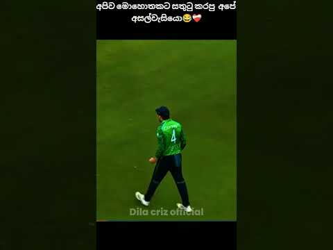 අලි ඔලුවන්ට හොද පාඩම  #cricket
