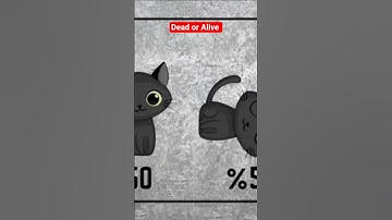 "what is schrodinger