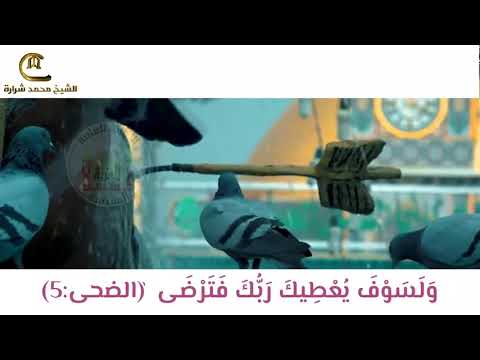 الشيخ محمد شرارة قلب بلا حب خرابة مهجورة