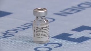 Pfizer plans to seek FDA approval to vaccinate children ages 2 to 11 against COVID-19