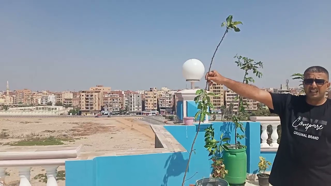 بسم الله ما شاء الله تبارك الله متاح التوصيل لحد باب البيت 01282809229