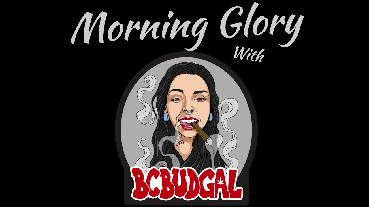 Morning Glory with BcBudGal: Birthday Tings