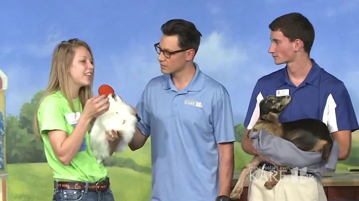 Cory Hepola meets some baby animals at the state f...