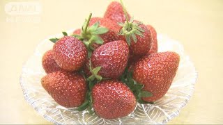 東京生まれの新イチゴ誕生　小池知事「大粒で甘い」(19/05/11)