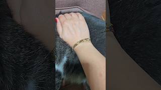 Beautiful Beaded Animal Print Bracelet Showcase | Handmade Jewelry Display