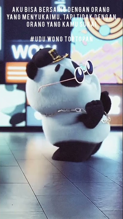 story'wa animasi panda lucu