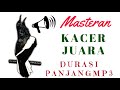 masteran kacer agar cepat ngeplong I kacer agar cepat ngeplay dan ngobra
suara kacer pikat mp3