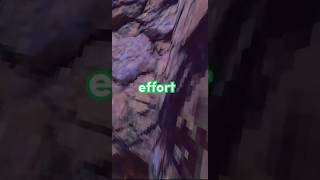 why do I still do this