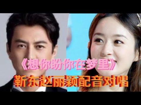 靳东赵丽颖配音对唱《想你盼你在梦里》旋律优美动听，情深意浓！【樵新南】