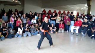 Artes Marcialeslua Forma De La Pantera