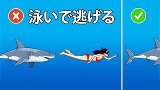 一見ウソのような、１９の雑学