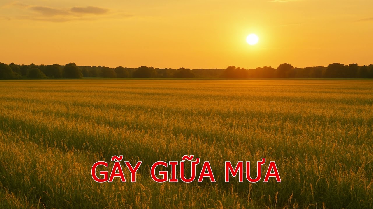 Gãy Giữa Mưa
