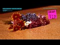 Dipha Barus - Flower feat. Jackie Castro (VIP Remix) [Visualizer] [Ultra Music]