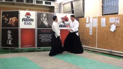 yokomen uchi koshinage [TUTORIAL] Aikido empty hand advanced techniques