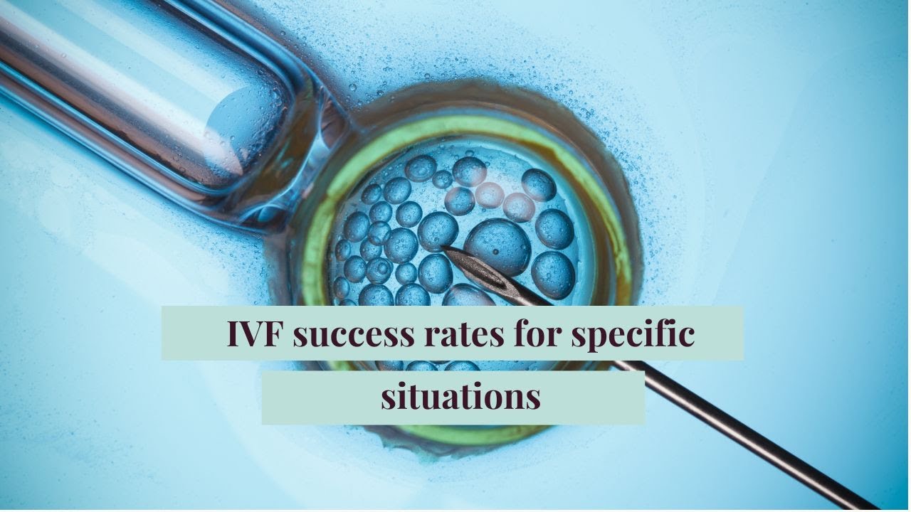 IVF success rates for specific situations
