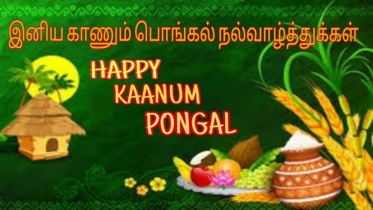 HAPPY KAANUM PONGAL #STATUS FOR KANNUM PONGAL||காணும் ...