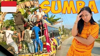 Download Lagu LIFE Changing Lesson in SUMBA Island Indonesia 🇮🇩 MP3