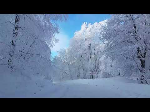 საბადური შარშან :)  ყველაზე ლამაზი ადგილი ზამთარში