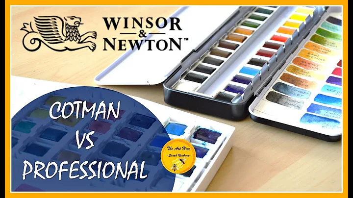 COTMAN vs PROFESSIONAL - WINSOR & NEWTON watercolo...