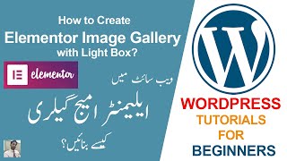 27. How to Create Elementor Image Gallery in Website || WordPress Tutorials in Urdu/Hindi