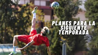 Planes para siguiente temporada (Consejos y mi propio plan)