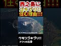 【観覧注意！】西之島にゴキブリが住む本当の理由！わかりやすく解説します！