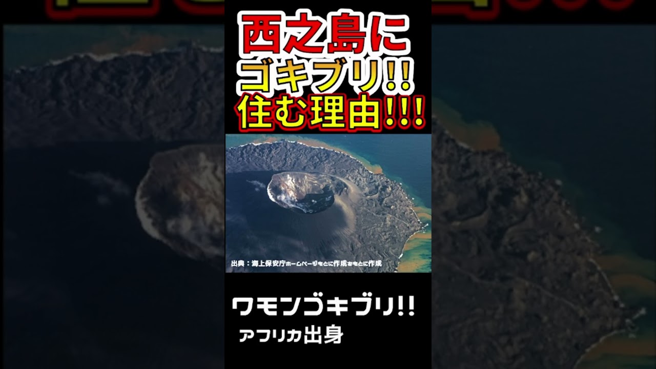 西 之 島 ゴキブリ