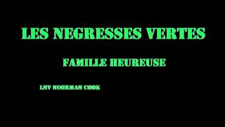 Les Negresses Vertes famille heureuse Norman cook