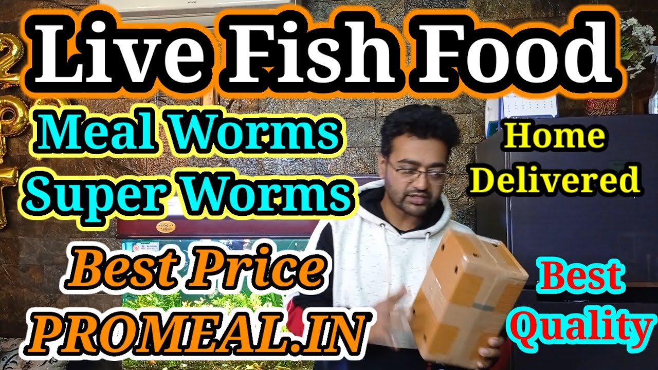 Mealworms & Superworms / Live Fish Food & Home Delivery Available By