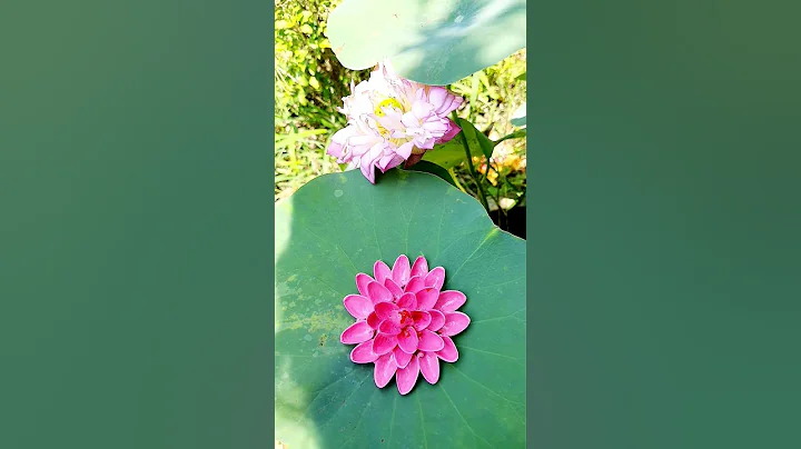 DIY Pista Shell Craft🪷/pista shell craft ideas #shorts #art #diy #pistashell #lotus #viral