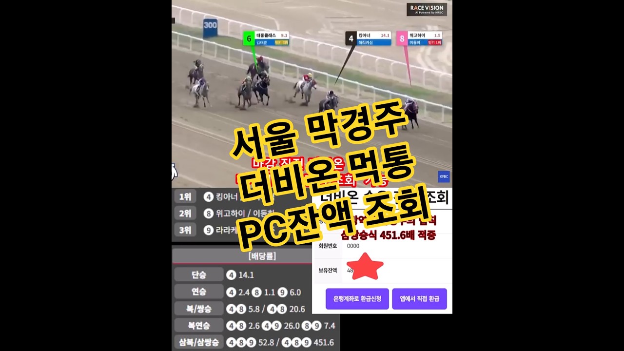 일요경마 서울10R 라라케이 추입 3착! 마사회 더비온 에러 잔액 조회 방법