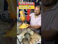 This man sales 1000 Dosa per day 😱 #dosa #famousbreakfast #shorts #shortfeed #food #bhaat