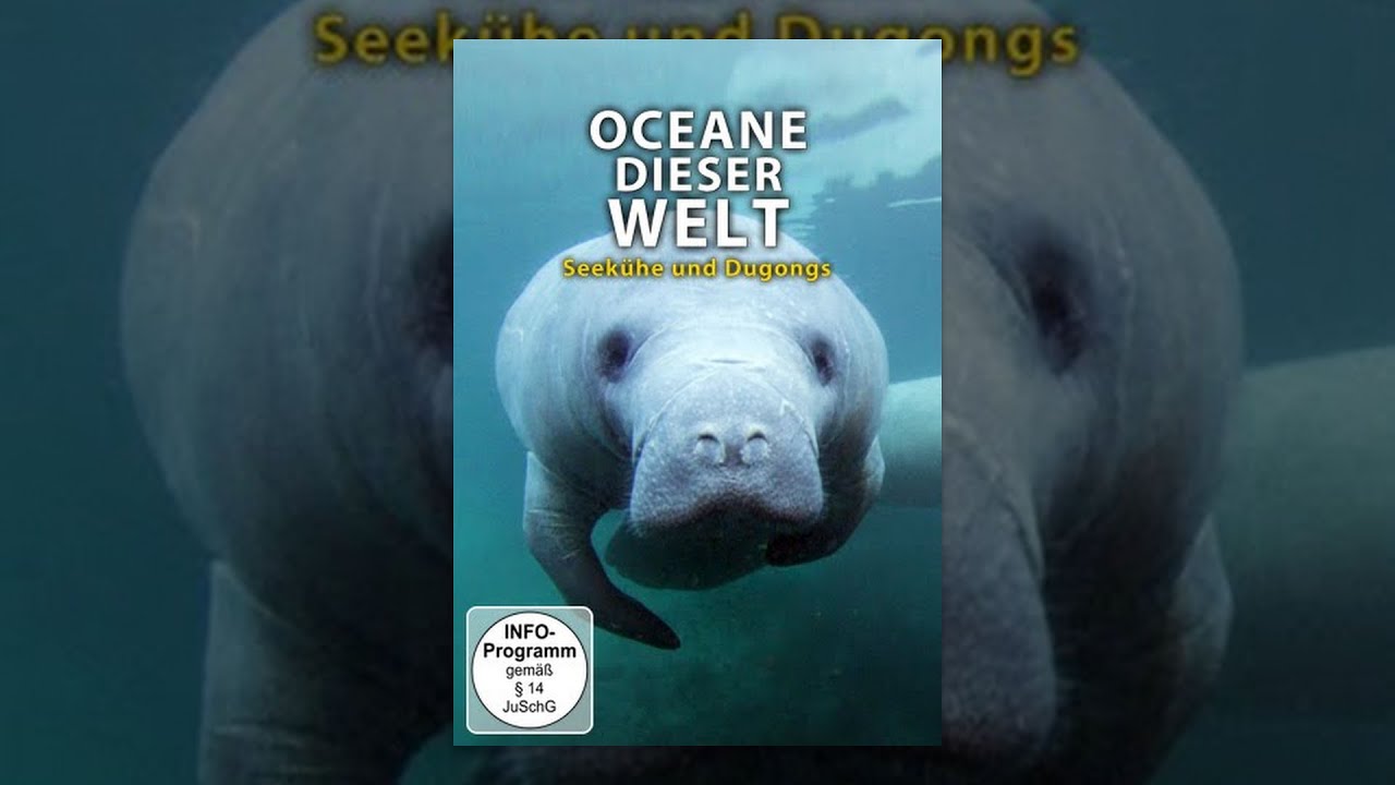 Ozeane dieser Welt - Seekühe und Dugongs