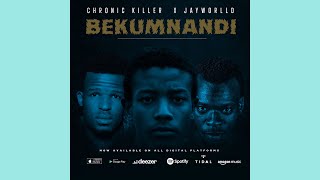 SakhumziBekumnandi - Chronic Killer feat. Jayworlld & Sakhumzi
