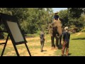 Marco evaristti  maler elefanter hjulpet af elefanter  spies rejser