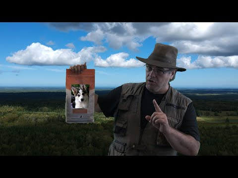 how-to-train-dogs-without-bribes!