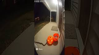 🐍 “Halloween Visitor Caught on CCTV 😱🎃”