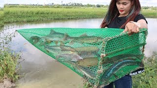 Amazing Fish Trap - Creative Girl Makes Very Simple Fish Trap To Catch A Lot Of Fish