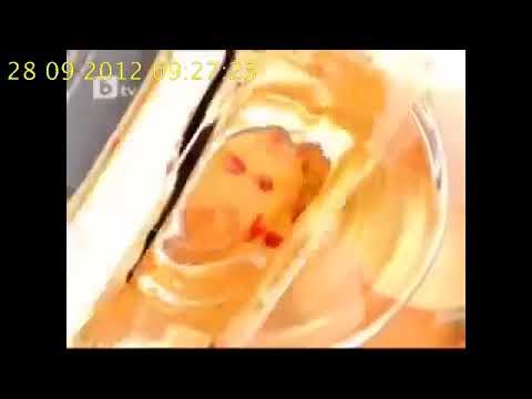 BTV This Morning Тази Сутрин Ident 2009 2012