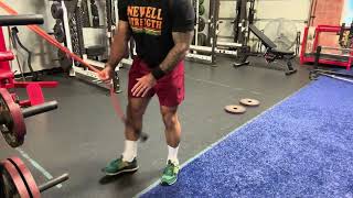 Split Squat to Single Arm Predator Band Row