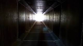 Maldição - Feat. Soraia Cardoso