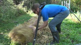 My Thoughts on the Deep Mulch Potatoes Method