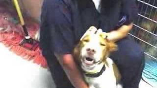NBRAN RESCUE 2007