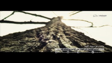 ما تيس من سورة [ الزمر ] الشيخ الفاضل أبي المنذر منير السعدي حفظه الله