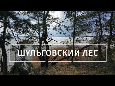 Шульговский лес: Поход выходного дня в окрестностях Каменского. Кемпинг в Днепропетровской области.