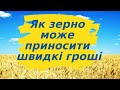 Як зерно може приносити швидкі гроші