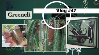 Vlog plantes#47 - Updates plantes; Power Director bof bof!; marché aux fleurs; Beaubourg (fév 2024)